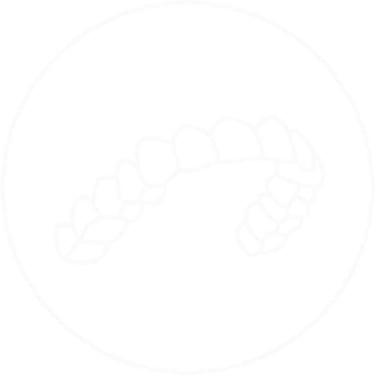 Receive Your Clear Aligners
