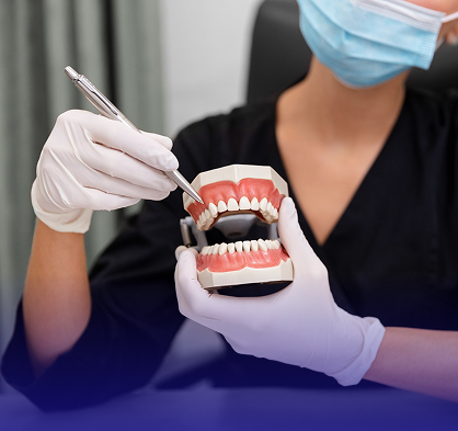 A dental bridge replacing a missing tooth