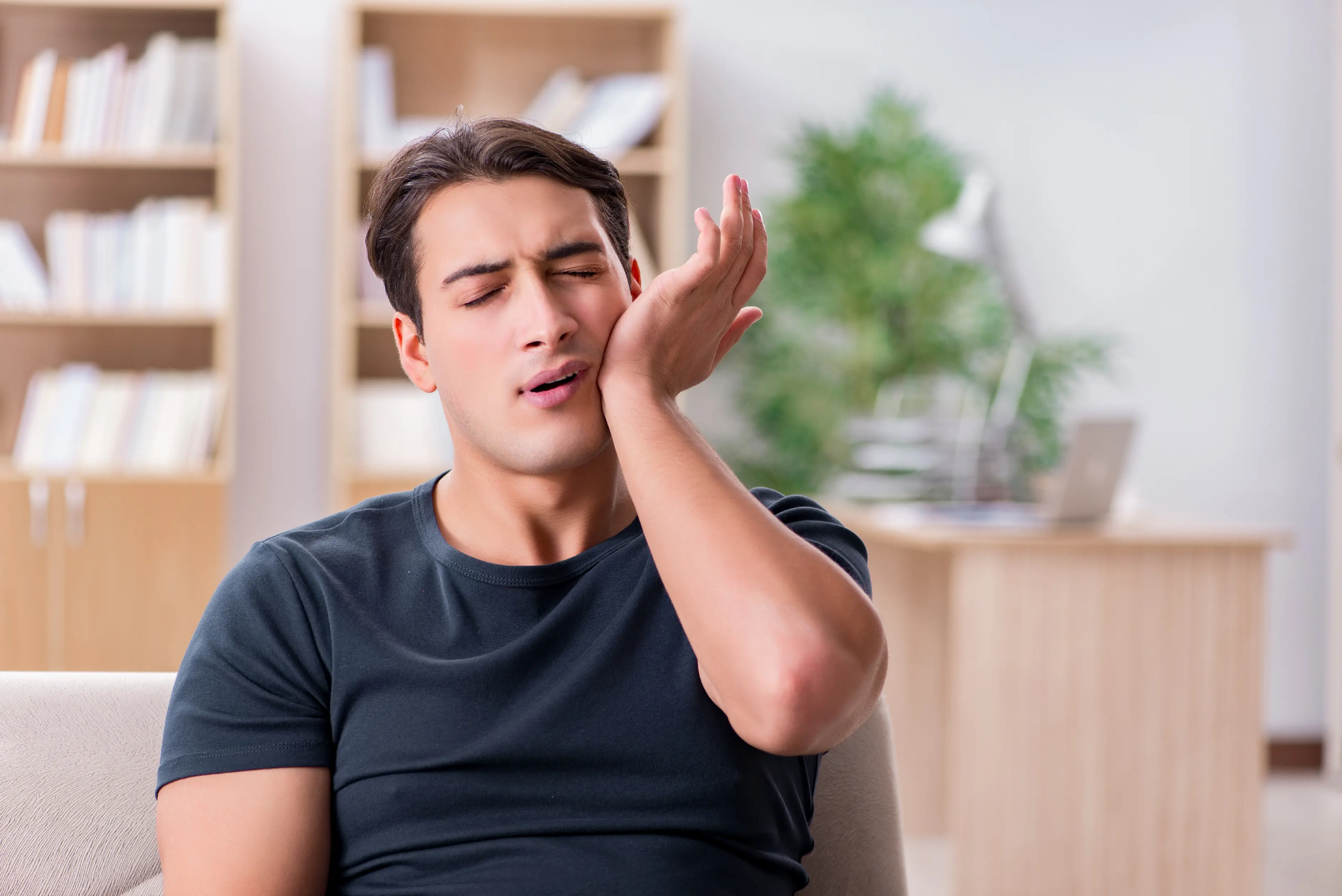 The temporomandibular joint that connects the jaw to the skull